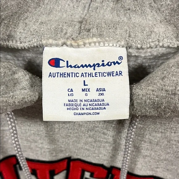 Champion Gray Rutgers University Hoodie - Picture 3 of 6